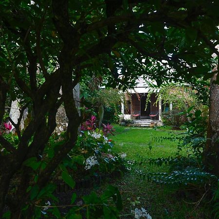 مبيت وإفطار Bras-Panon Le Medinilla المظهر الخارجي الصورة